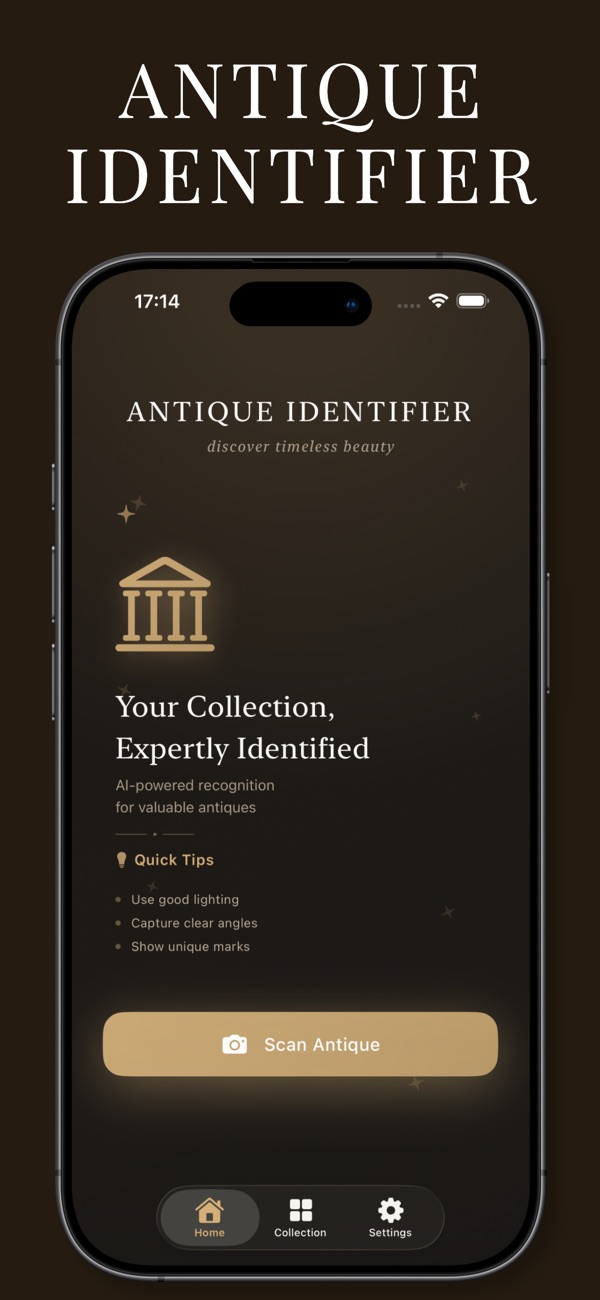 Antique identifier home screen
